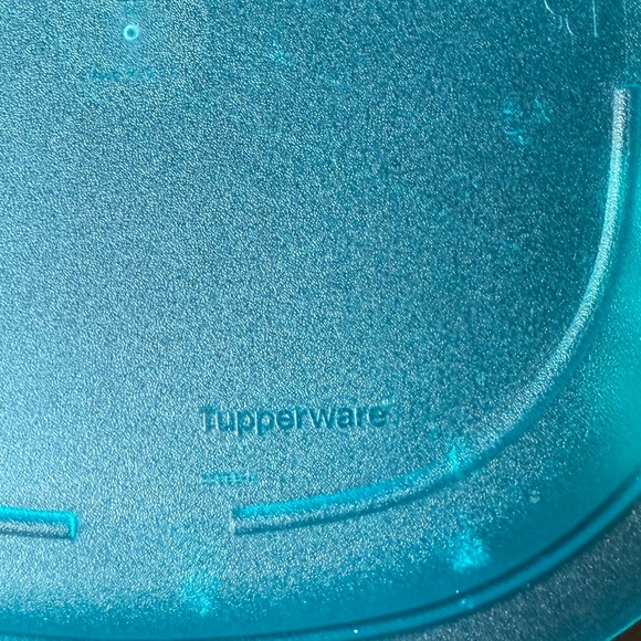 Tupperware Reheatable Plates - 9½" - Picture 3 of 4
